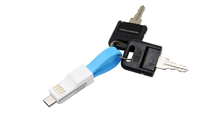 ShunXinda -Usb Cable With Multiple Ends Manufacture | Promotional Gift 3 In 1 Keychain-2